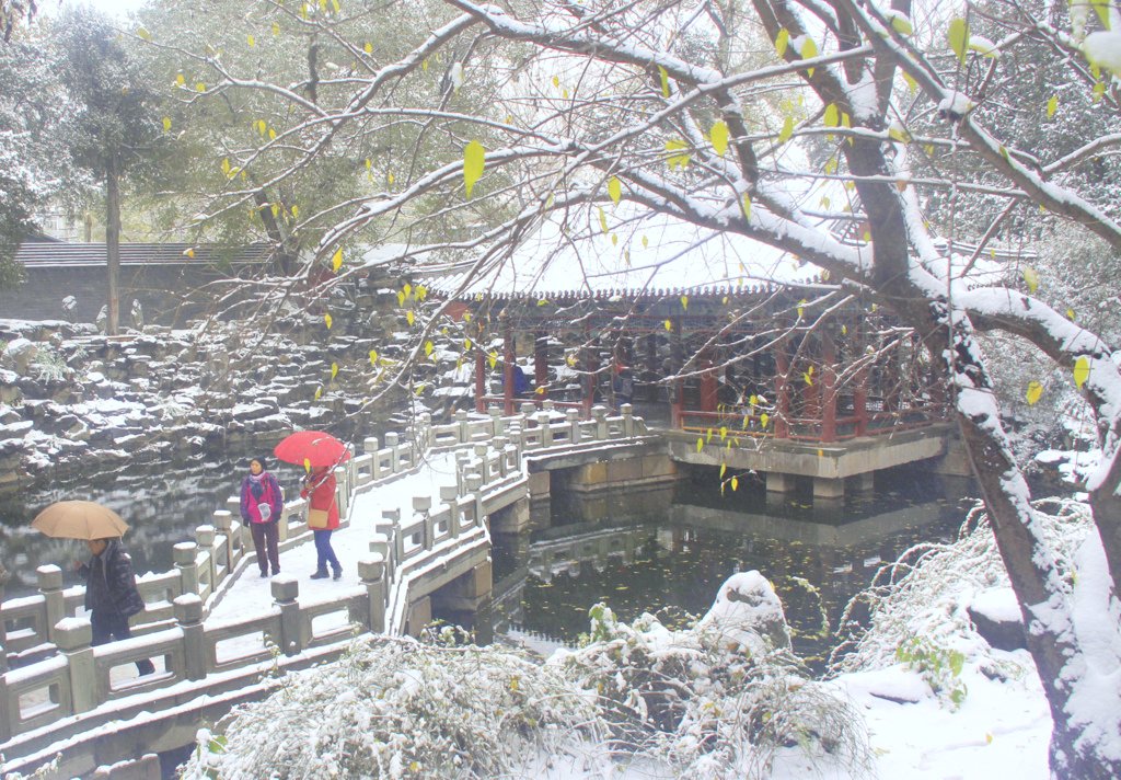 "小雪"时节赏雪景【5】 摄影 TT1948