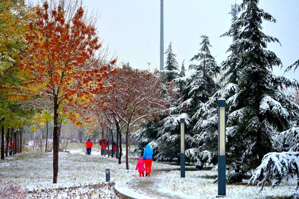 雪景2 摄影 北京快乐兔