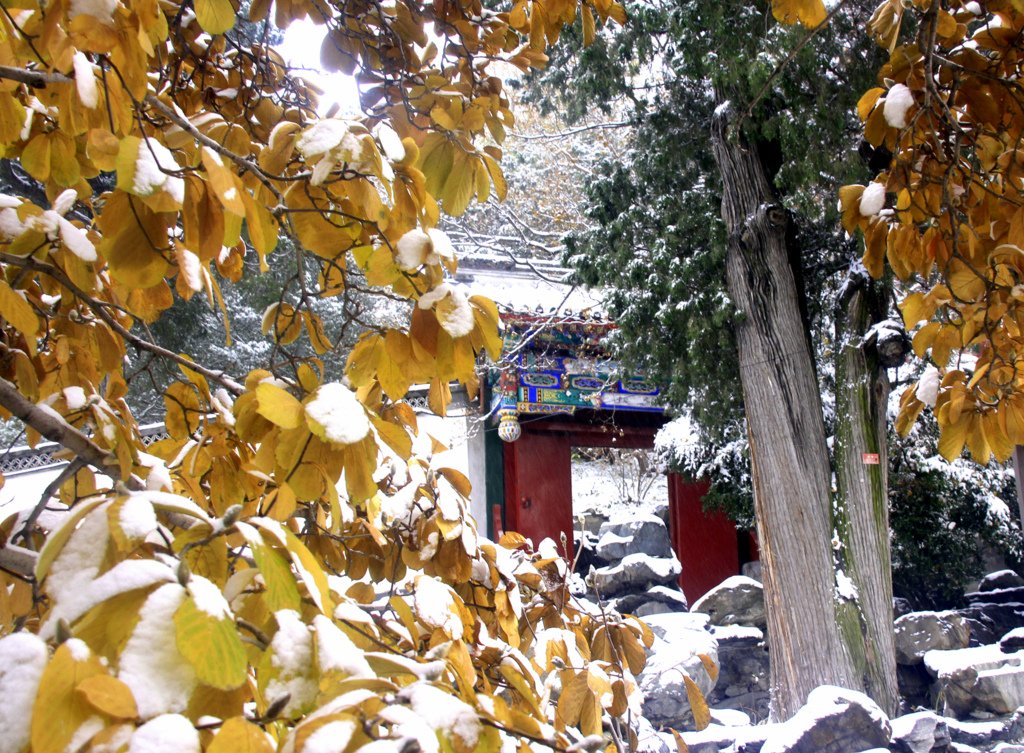 "小雪"时节赏雪景【6】 摄影 TT1948