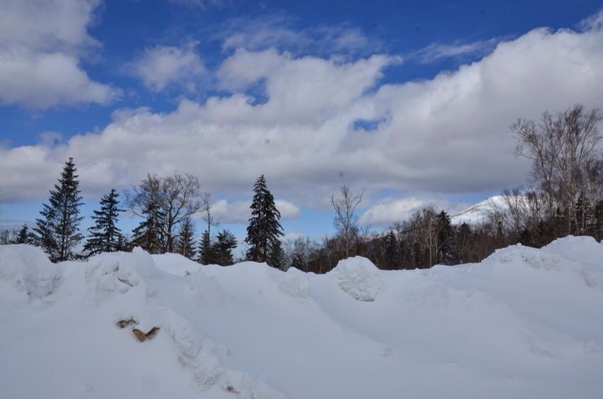 那一年的那一场雪 摄影 达名