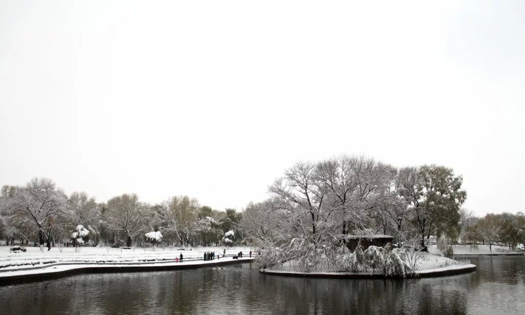 观雪 摄影 泥河湾