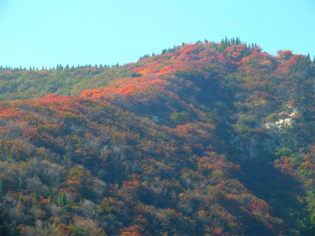 秋山红叶 摄影 快乐孙老头