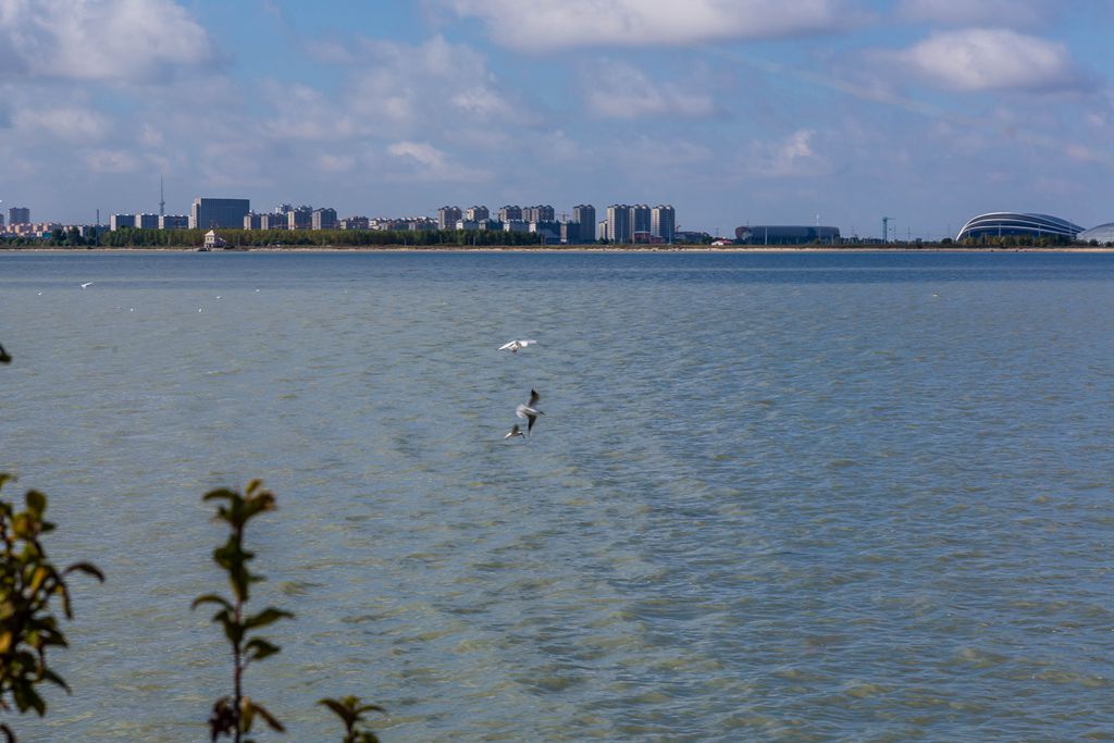 百湖石油之城--北湖9 摄影 随光逐影