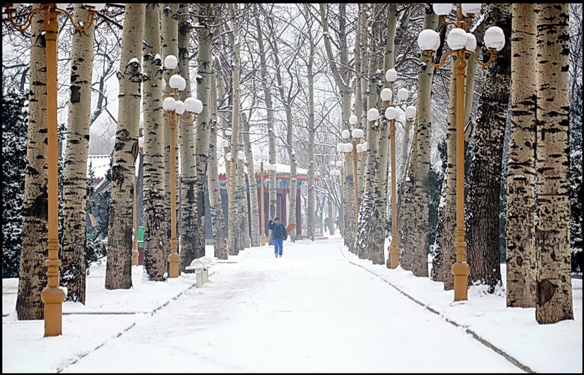 那一场雪。。 摄影 阿鹏哥