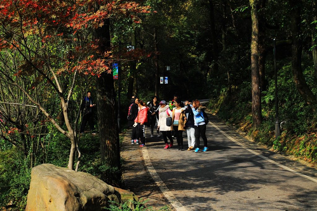 初冬岳麓山 摄影 青山绿水2