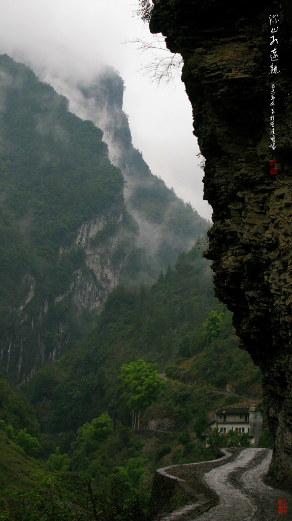 深山有远亲 摄影 地瓜大哥