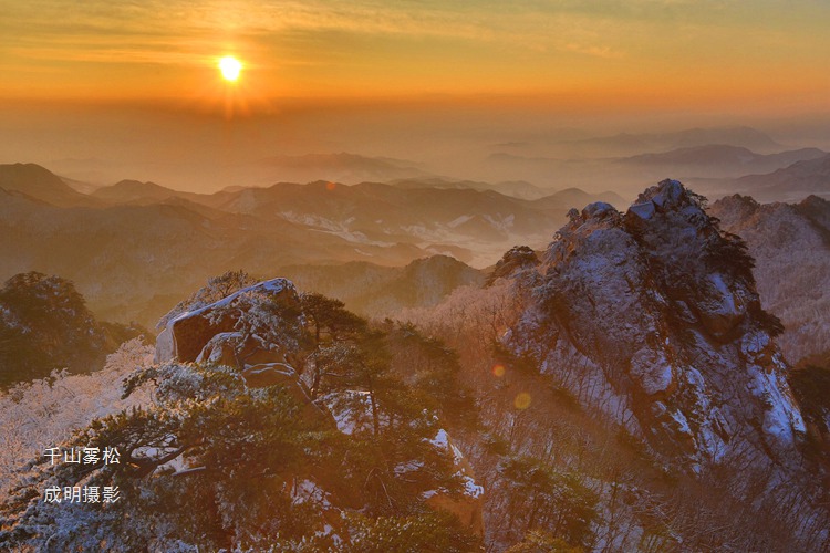 千山雾松晨景 摄影 askcm