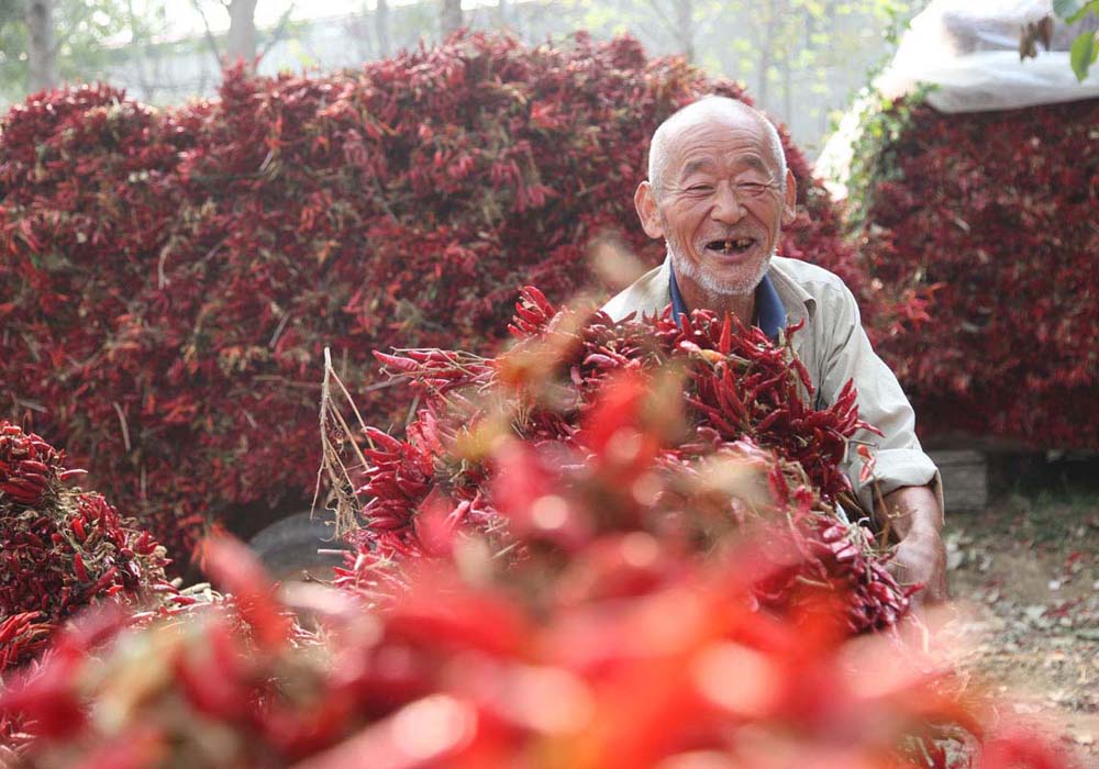 《收获快乐》 摄影 郾城老李