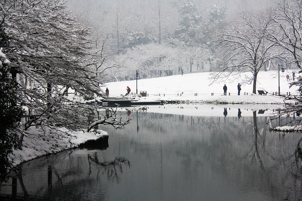 雪染江南 （点大图） 摄影 金玉满堂