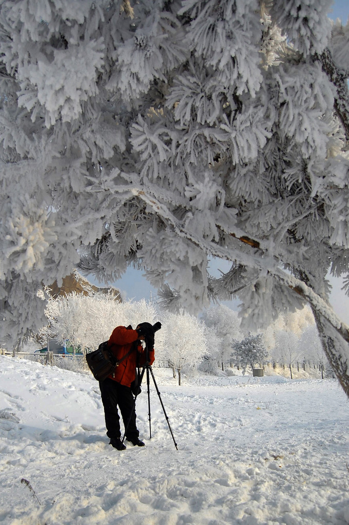 共舞高寒阙 摄影 那人那山