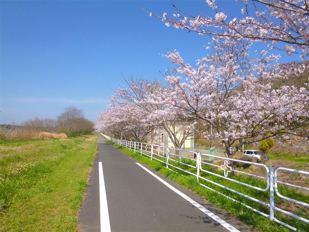 春天的小路 摄影 mitaka