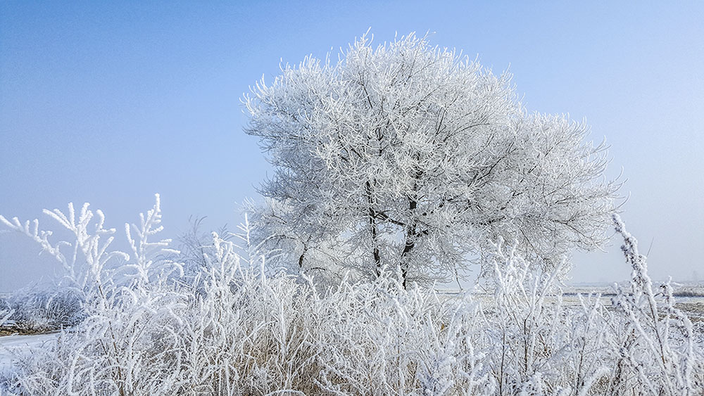 延边雪景 摄影 白岩