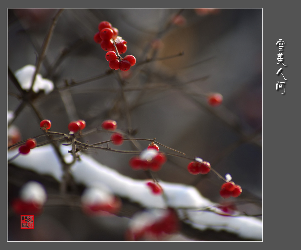 《雪美人间》 摄影 一路有你