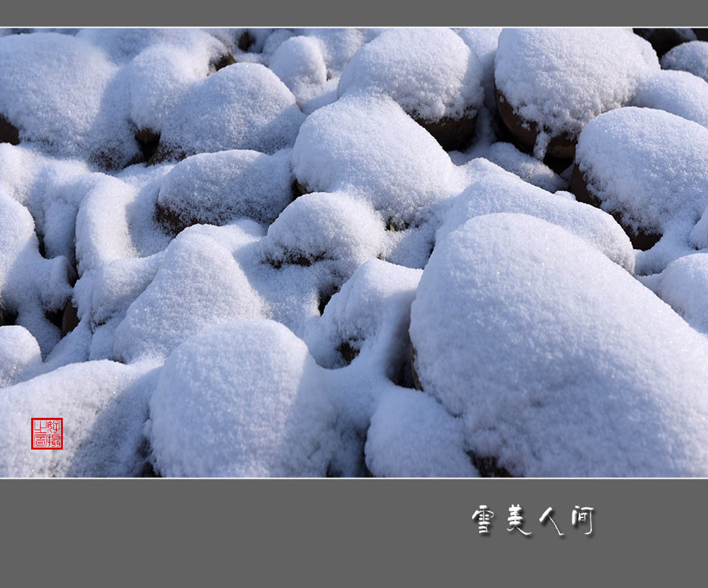 《雪美人间》 摄影 一路有你