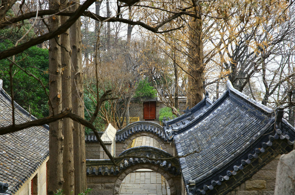 崂山仰口的冬天（7）---寺院内景 摄影 砺苦寒自芳华