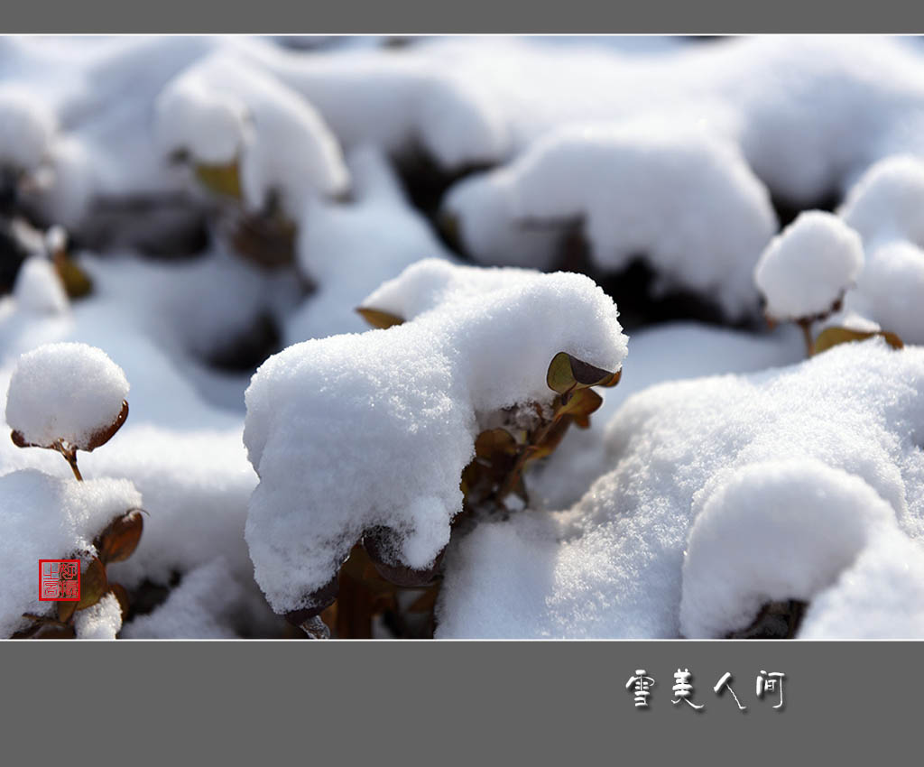 《雪美人间》 摄影 一路有你