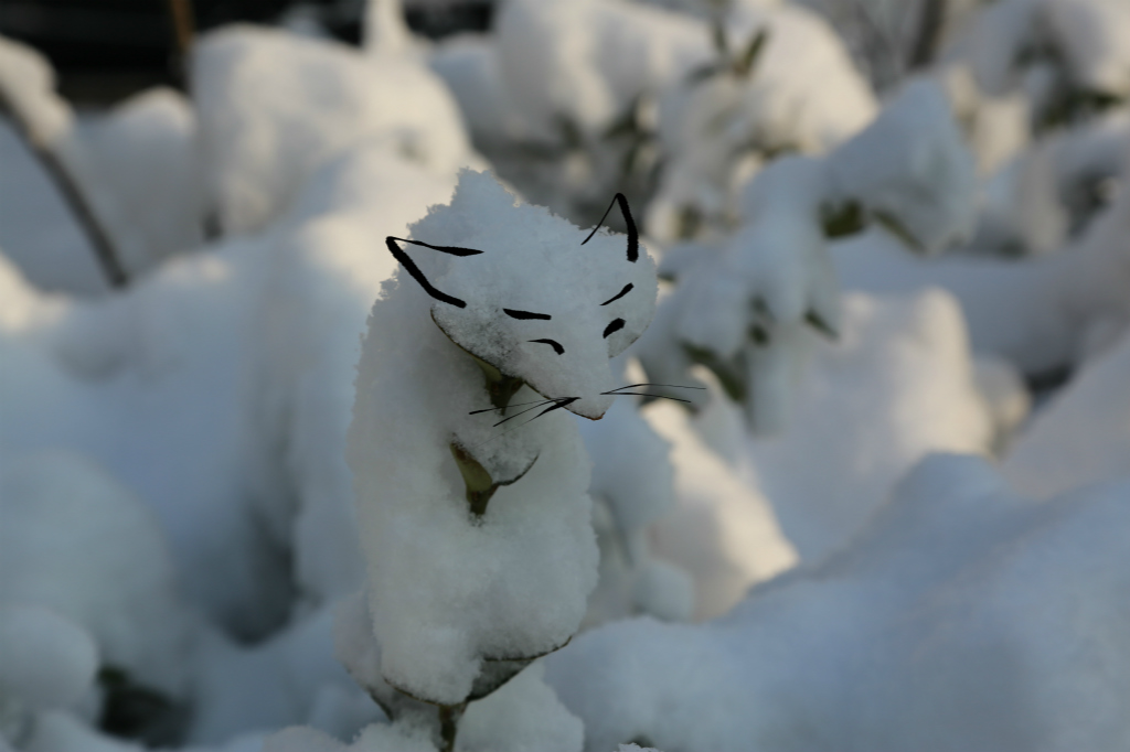 小区那场雪——雪狐（涂鸦） 摄影 丘山皓月