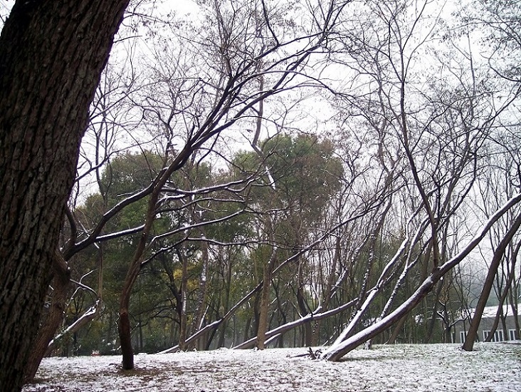 记忆● 5年前的雪 摄影 浪迹天涯0725