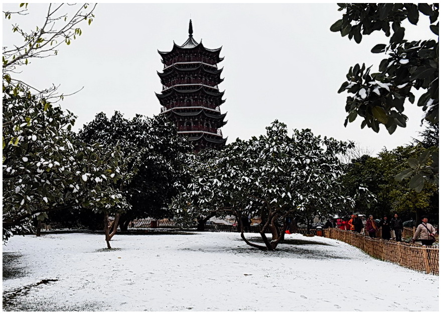 昆明雪。。 摄影 阿鹏哥