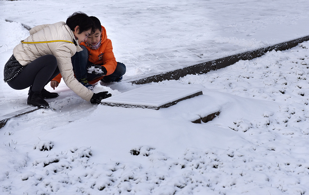 《爱上雪》 摄影 一路有你