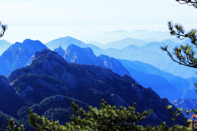 黄山归来不看岳 摄影 wangshihua