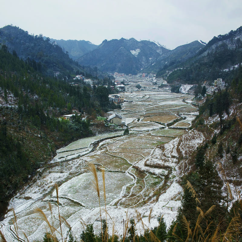 2016年的第一场雪 摄影 桃花江