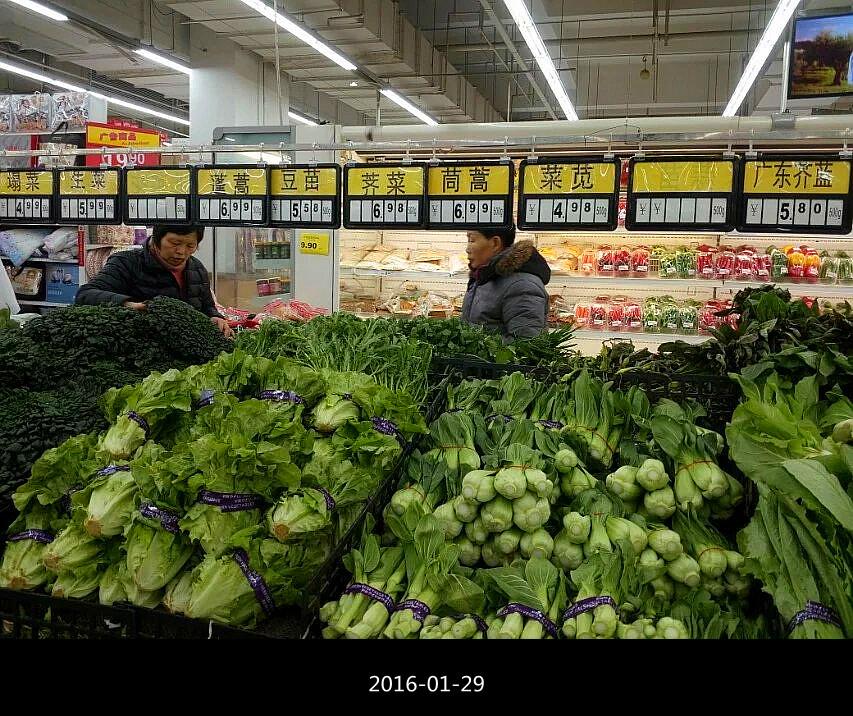 品种丰富 摄影 夜雨听蕉