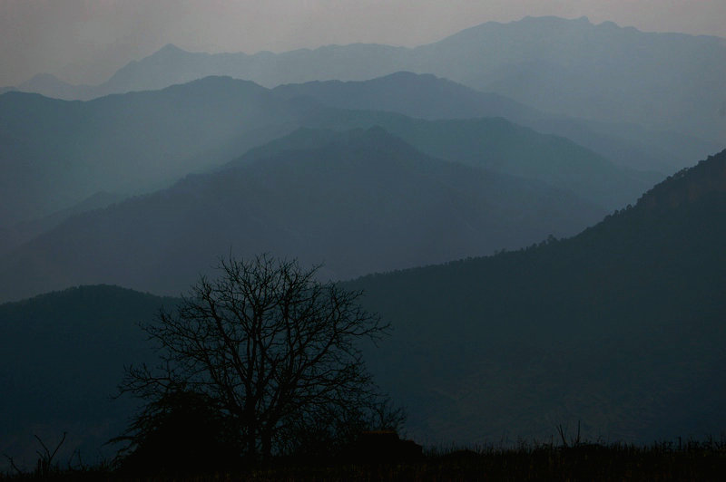 山里早晨 摄影 江边鱼翁n