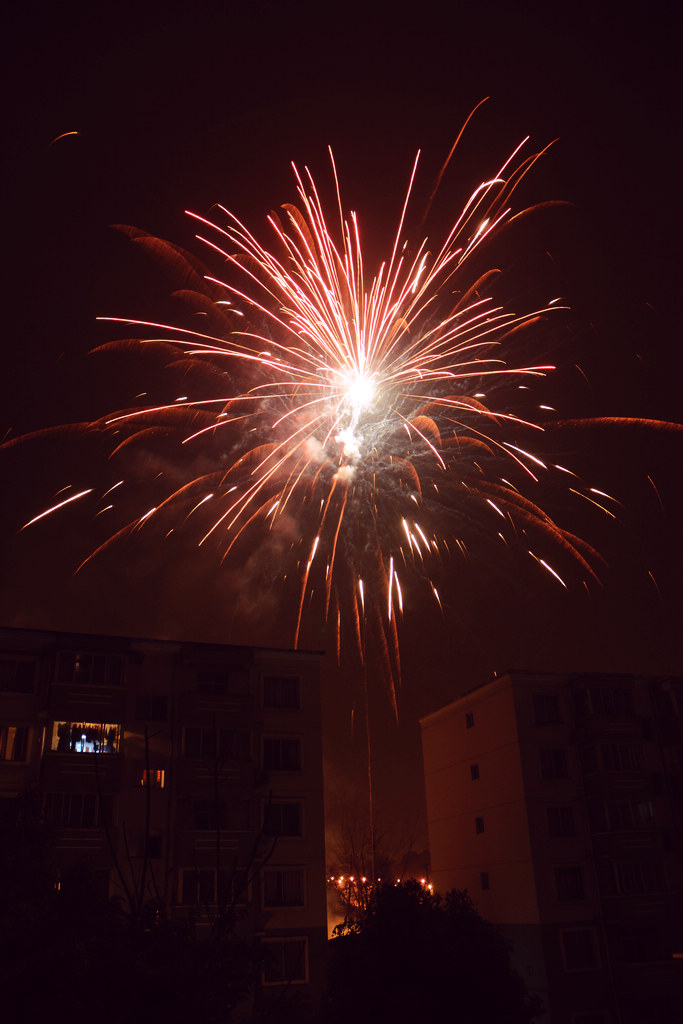 恭祝各位老师好友新春快乐，万事如意 摄影 灿烂晴天