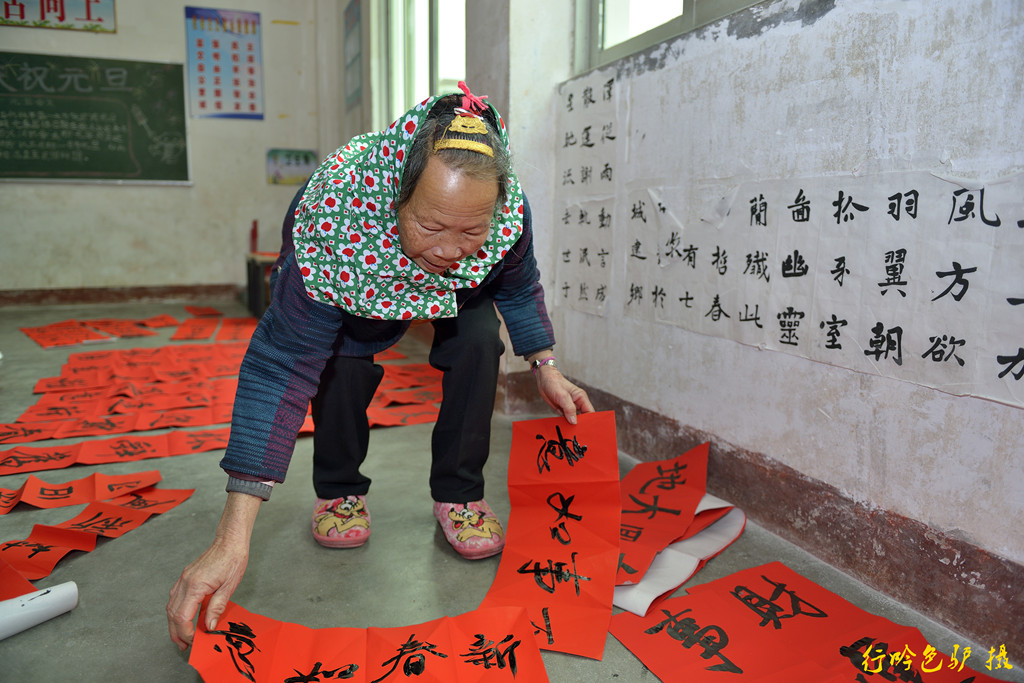 惠女迎春 摄影 蓝色驴