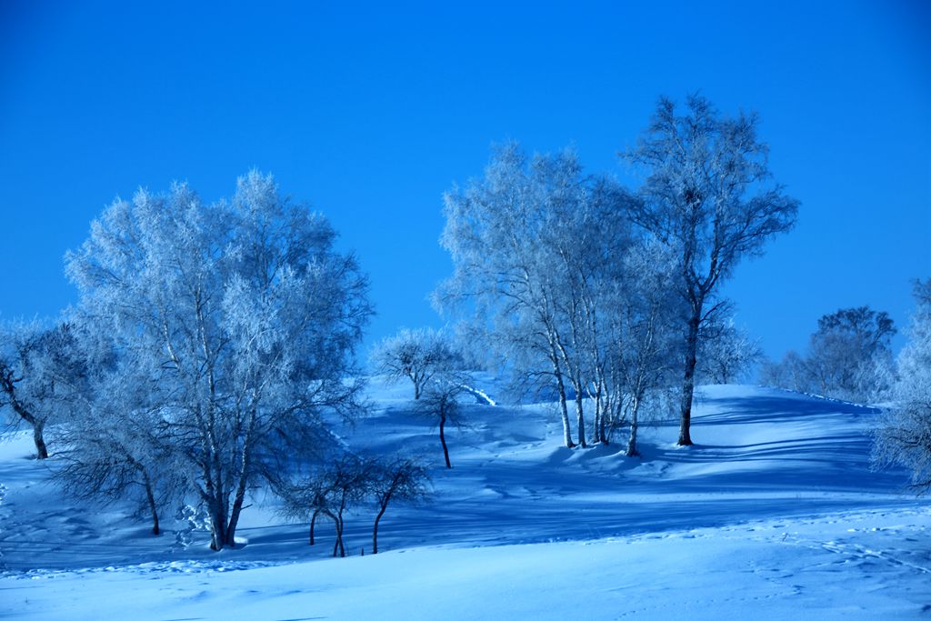 雪缘 摄影 雕光剑影