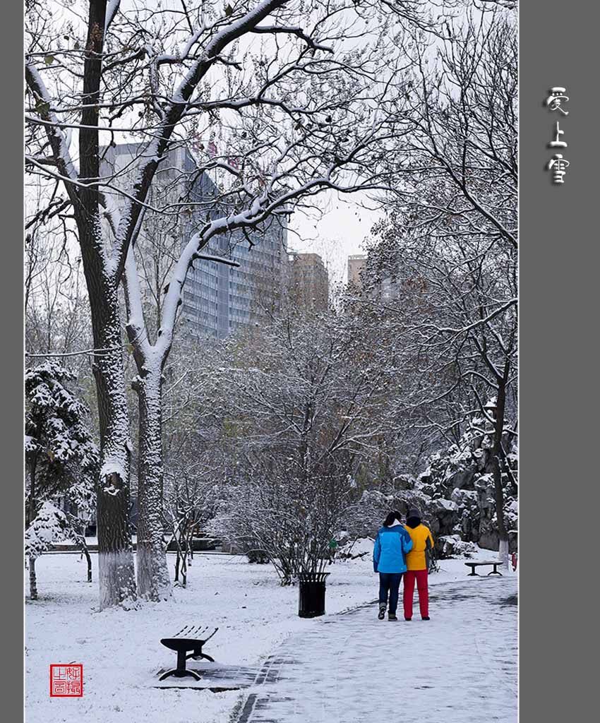 《爱上雪》 摄影 一路有你