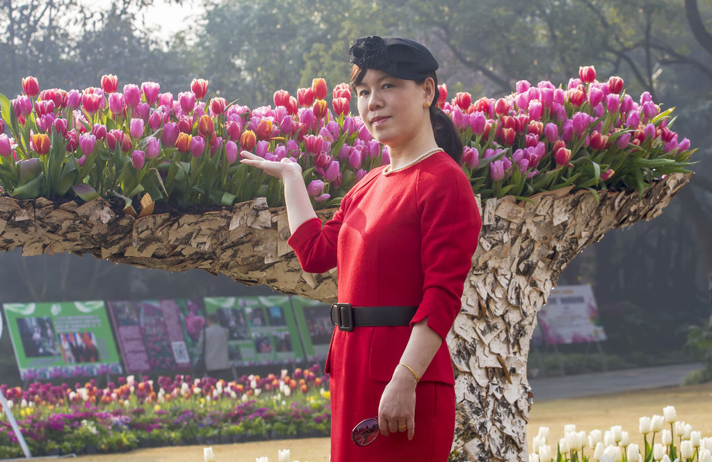 郁金香之美(1) 摄影 haihang