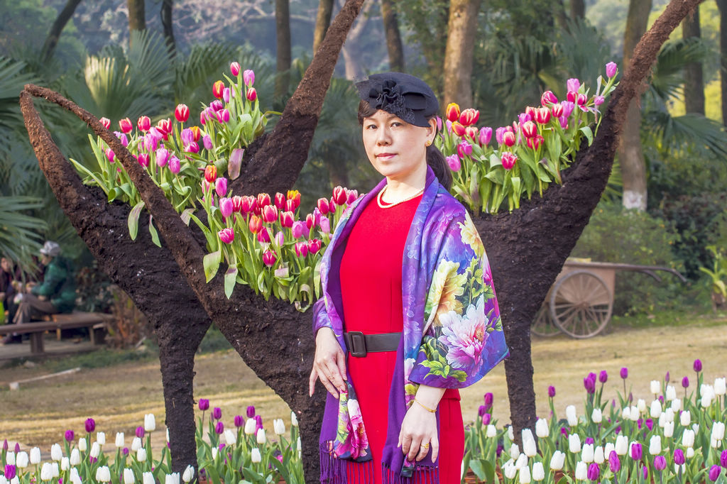 郁金香之美(2) 摄影 haihang