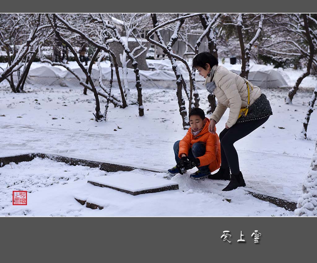 《爱上雪》 摄影 一路有你