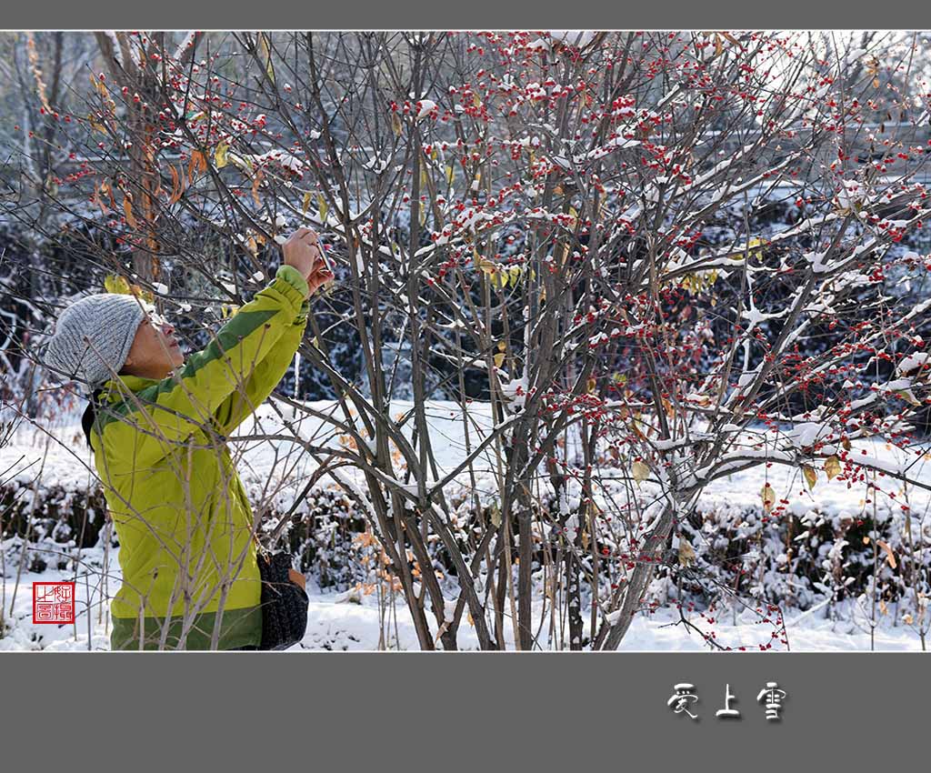 《爱上雪》 摄影 一路有你