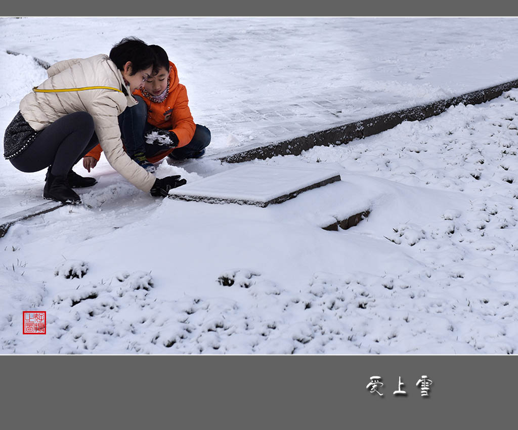 《爱上雪》 摄影 一路有你