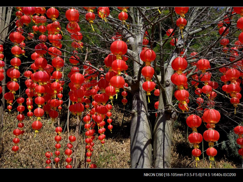 吉祥如意红灯照 摄影 雁南飞.