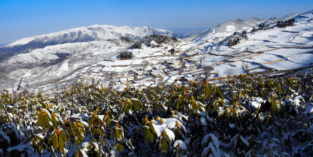 雪景4 摄影 青花椒