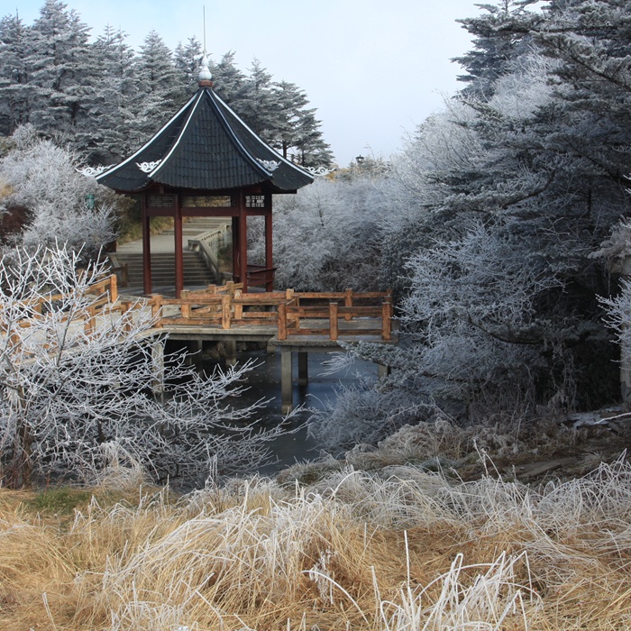 峨眉冬景摘影 摄影 wangshihua