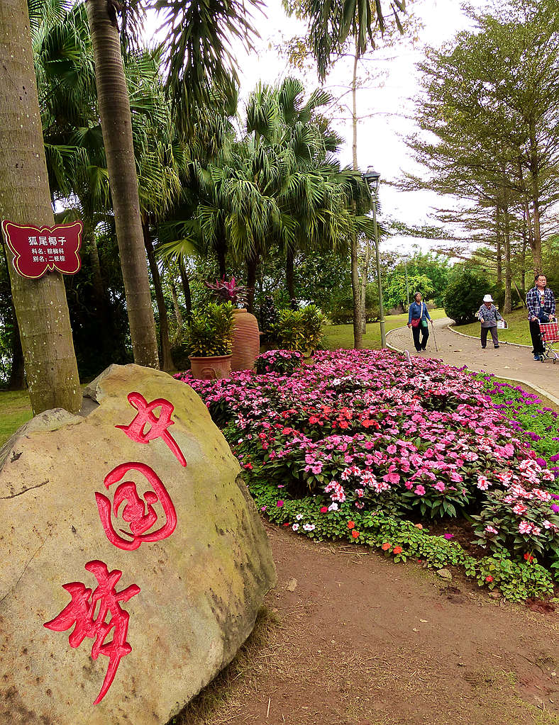 春节花坛琼海美6 摄影 博慧