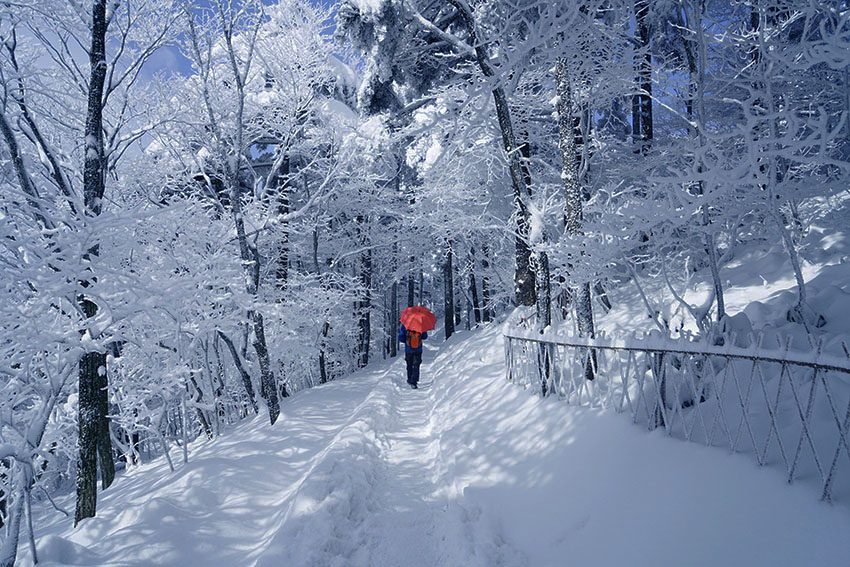 黄山雪5 摄影 拂锺无声