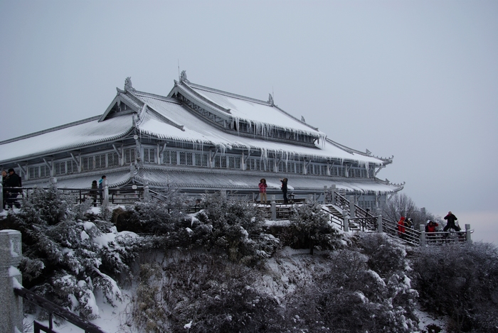 峨眉山雪景 摄影 任意飞翔的鱼