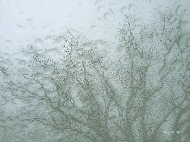 天街小雨 摄影 禾惠子