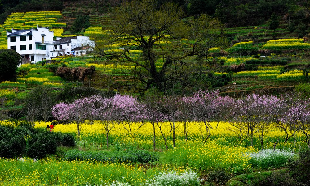 田园风光 摄影 近山远水