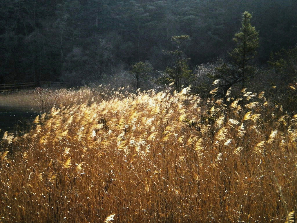 色韵 摄影 lkuang