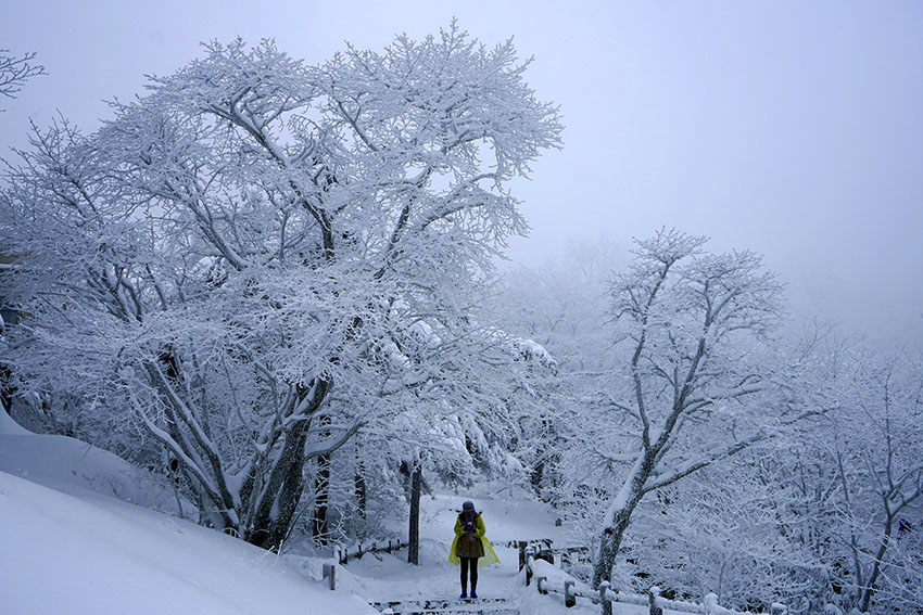 黄山雪9 摄影 拂锺无声