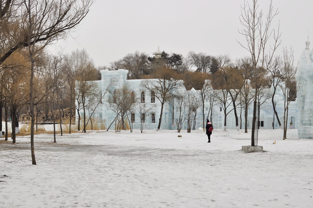 《抓住雪博会的尾巴》 摄影 海水浪滔滔