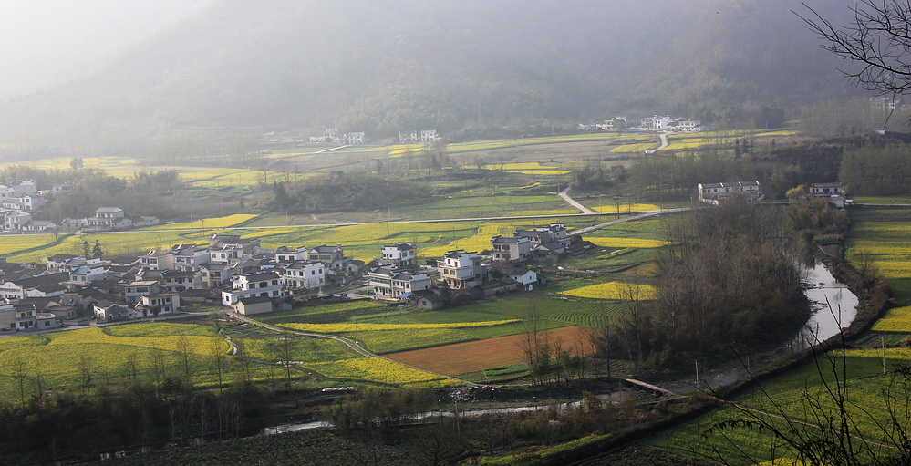 黟县柯村 摄影 牯牛绛