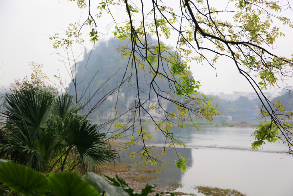 烟雨漓江 摄影 柏岩